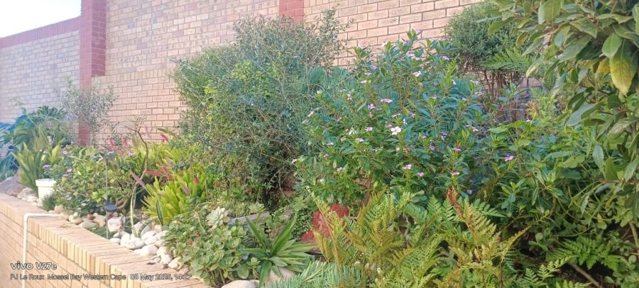 3 Bedroom Property for Sale in Menkenkop Western Cape
